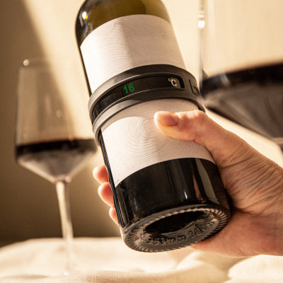 Wine Thermometer